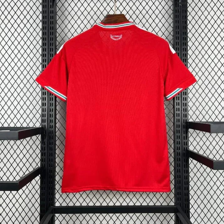 Pays de Galles DOM Coupe du monde 2026 - Choppe ton maillot